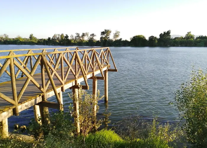 Somnis Del Delta