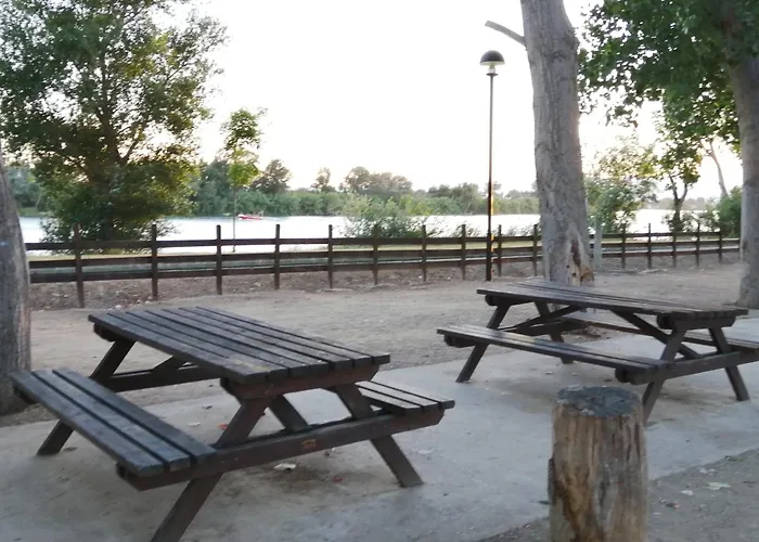 Somnis Del Delta