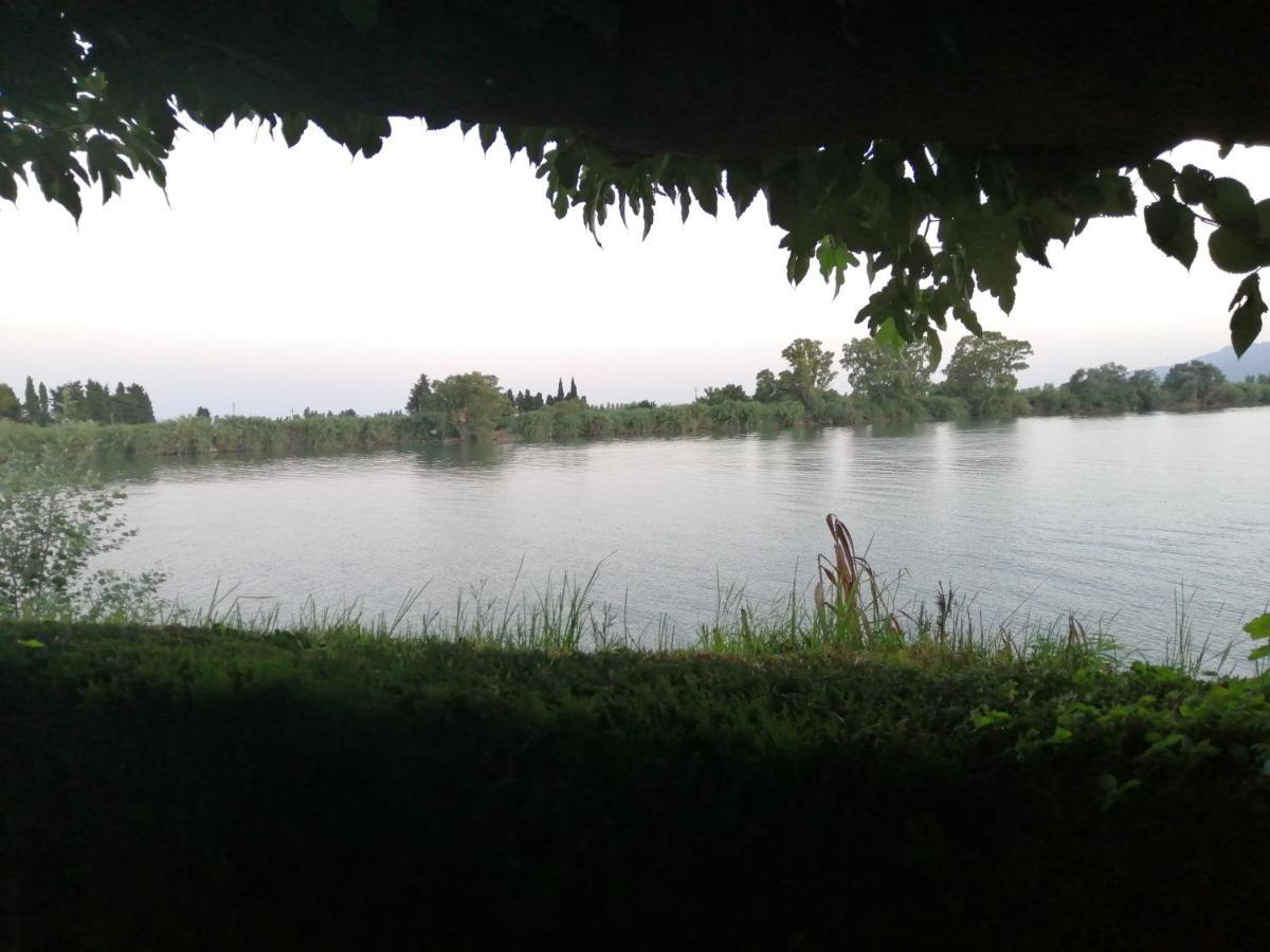 Somnis Del Delta Deltebre