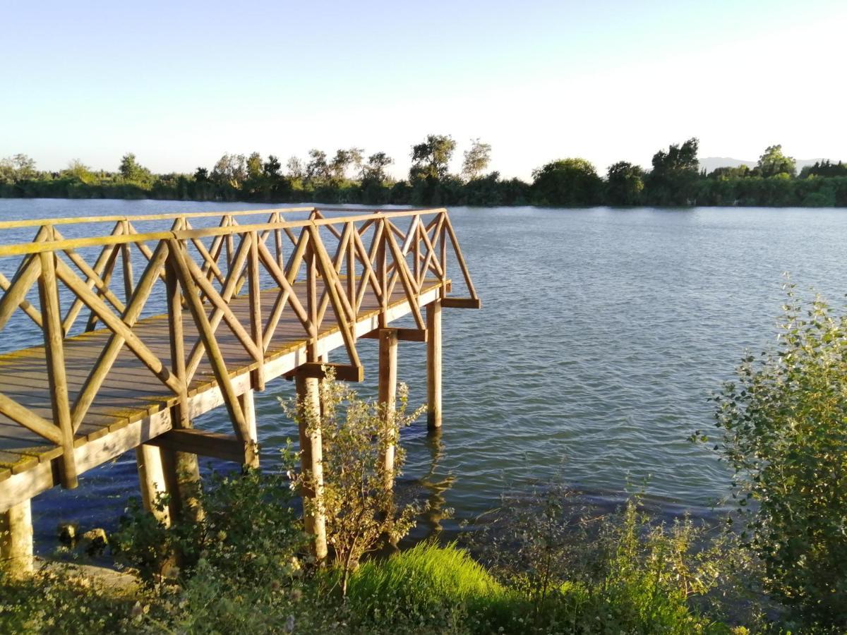 Appartement Somnis Del Delta Deltebre