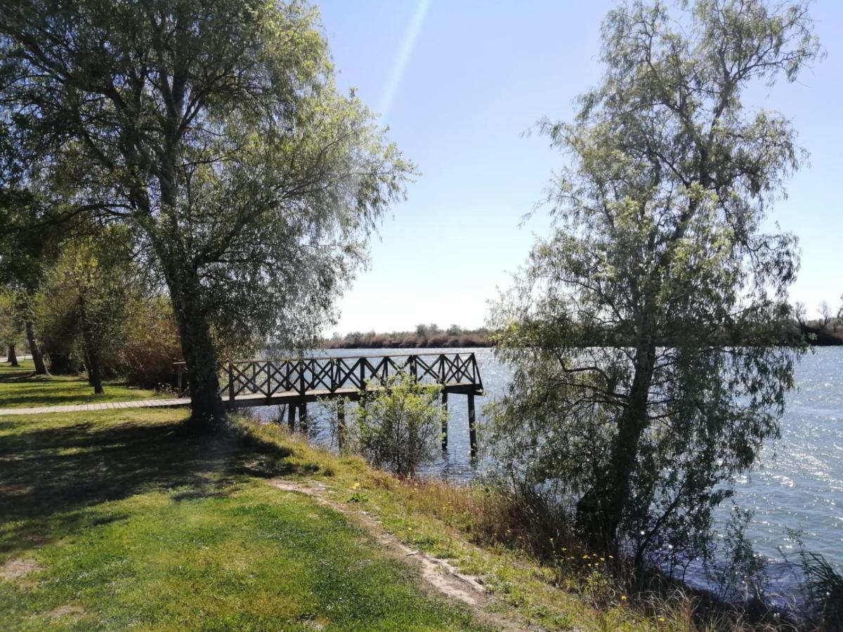 Somnis Del Delta Appartement